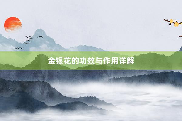 金银花的功效与作用详解