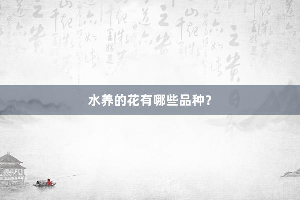 水养的花有哪些品种？