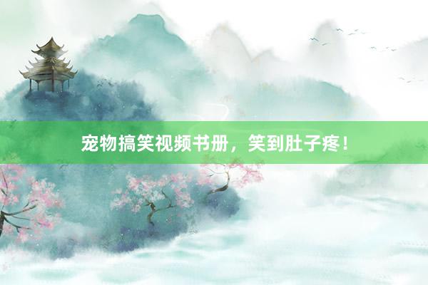 宠物搞笑视频书册，笑到肚子疼！